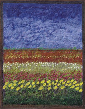 Field of Flowers